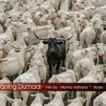 sangkan paraning dumadi